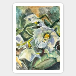 Lenten Roses Sticker